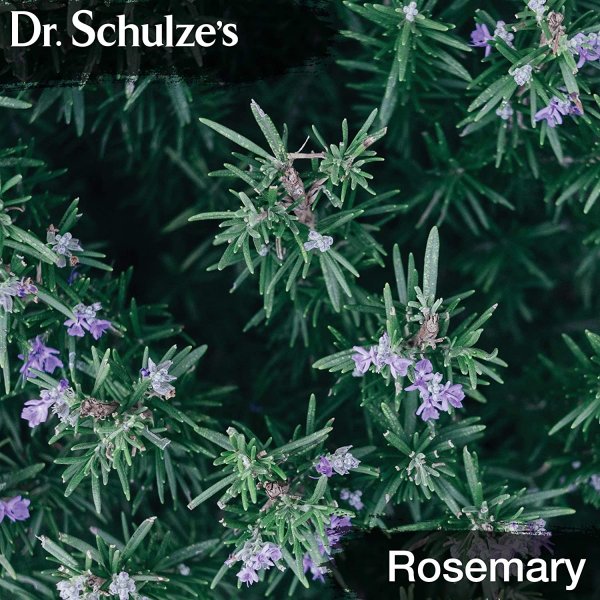 ブレインフォーミュラ Dr. Schulze's 集中力強化