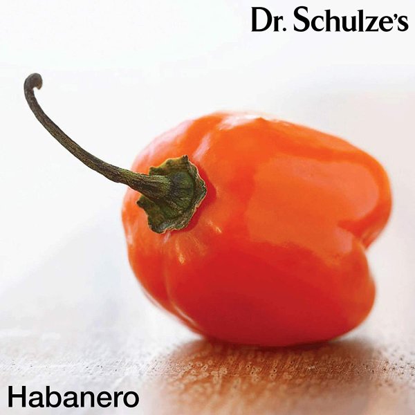 ブレインフォーミュラ Dr. Schulze's 集中力強化