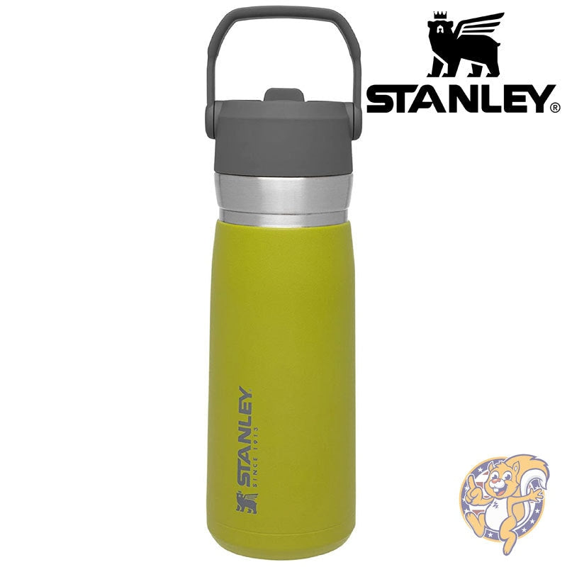 スタンレー ステンレスウォーターボトル Stanley ストロー 保冷 スポーツボトル 22oz/.62L