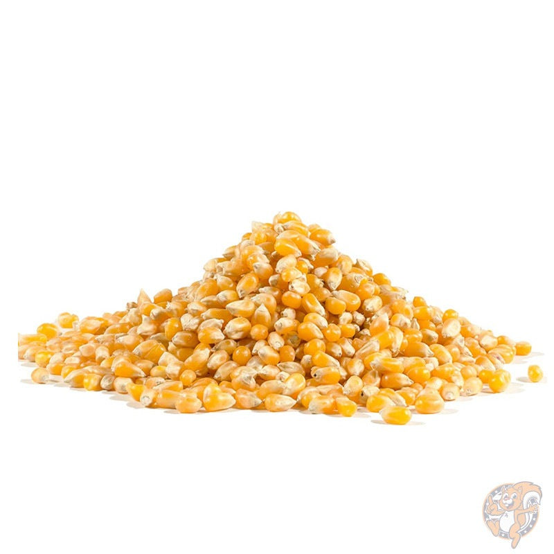 ボブズレッドミル Bob's Red Mill ホール イエローポップコーン Popcorn 850g(30オンス)×4袋