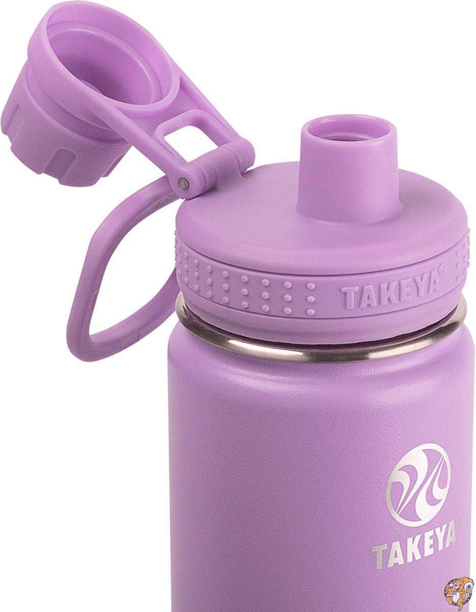 Takeya Actives Insulated Water Bottle w/Straw Lid, Mint, 22 Ounce