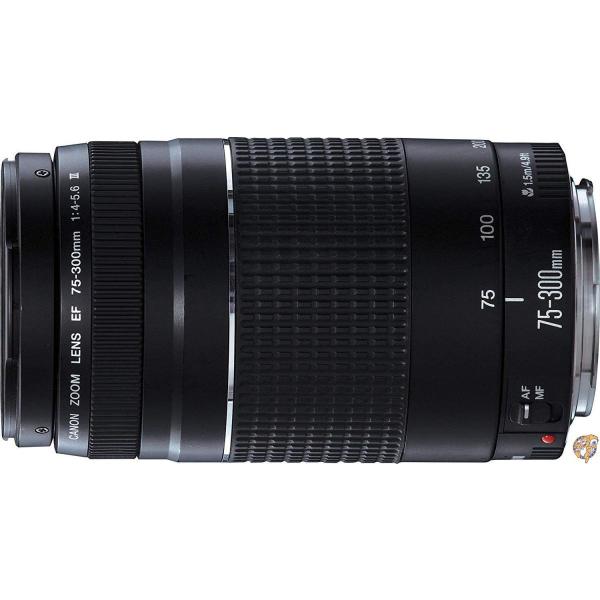 Canon EFレンズ EF75-300mm F4-5.6 IIIズームレンズ 望遠 並行輸入品 送料無料