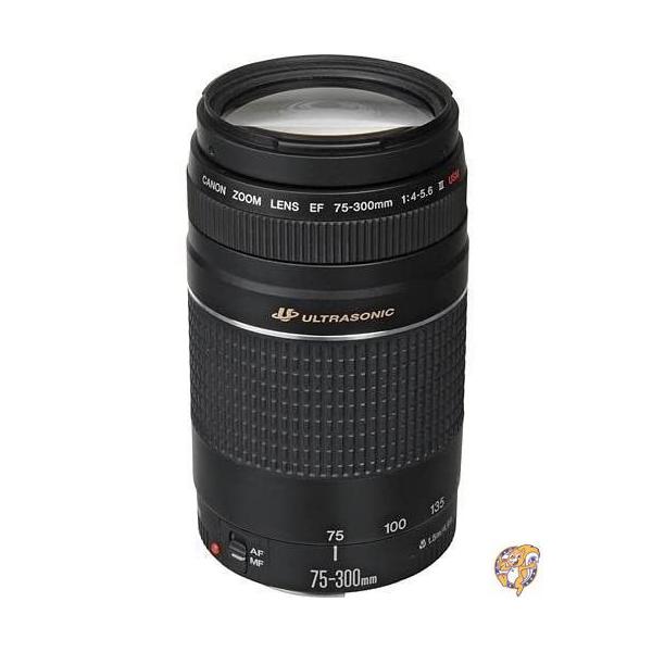 Canon EFレンズ EF75-300mm F4-5.6 IIIズームレンズ 望遠 並行輸入品 送料無料