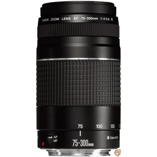 Canon EFレンズ EF75-300mm F4-5.6 IIIズームレンズ 望遠 並行輸入品 送料無料