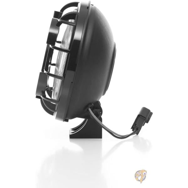 APOLLO PRO 6' RND DRVG 送料無料