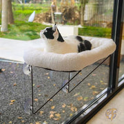 猫 ウィンドウポーチ ペットベッド付き 大型猫 子猫用 猫窓ハンモック ペット用品 Zakkart ザッカート