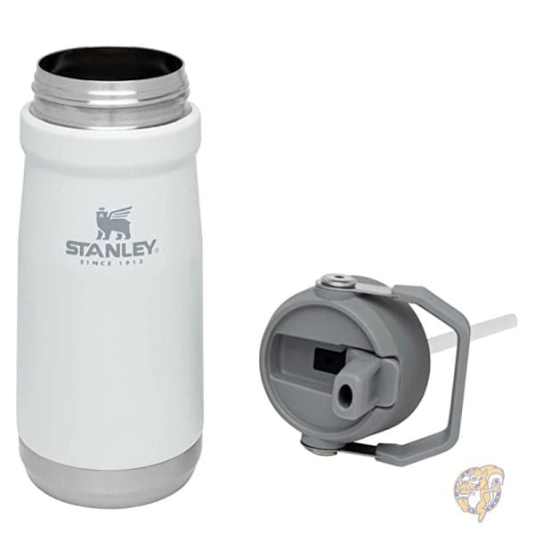 Stanley スタンリー アウトドア アイスフロー タンブラー ストロー付き 水筒 ポーラー 0041604347627