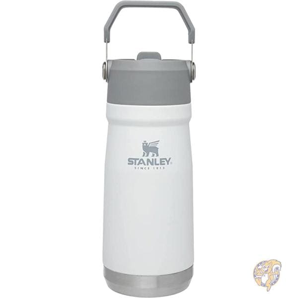 Stanley スタンリー アウトドア アイスフロー タンブラー ストロー付き 水筒 ポーラー 0041604347627