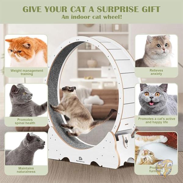 猫用おもちゃ 猫用ホイール 114cm キャットトランニングマシーン Cat Running Wheel XL Naviconvex