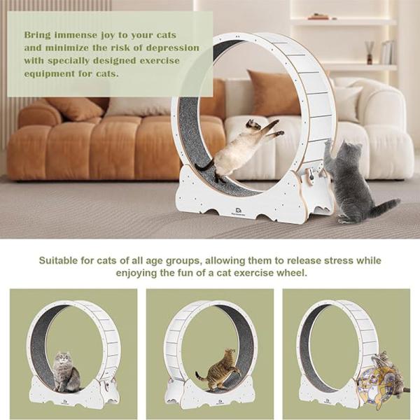 猫用おもちゃ 猫用ホイール 114cm キャットトランニングマシーン Cat Running Wheel XL Naviconvex