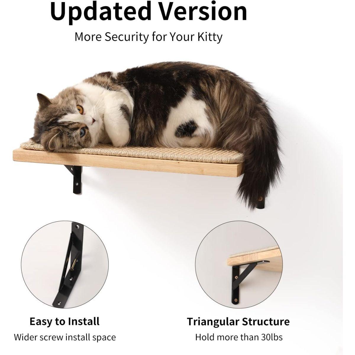 FUKUMARU Floating Wall Shelf with Cat Scratching Mat, 0.79 Inch Thick Solid Rubber Wood Hanging Shelves, 15.7 x 10 Inch