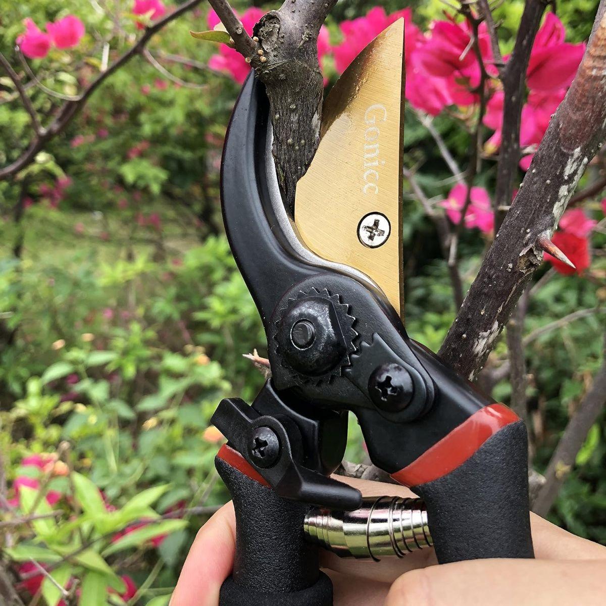 Gonicc 剪定鋏 GPPS-1003 SK-5スチール刃 チタンコーティング バイパスタイプ 耐久性 園芸用はさみ、果樹 庭木の剪定 盆栽剪定道具庭園作業 剪定ばさみ マルチカラー