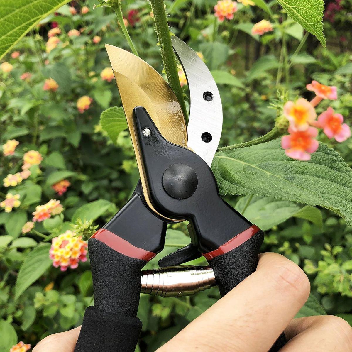 Gonicc 剪定鋏 GPPS-1003 SK-5スチール刃 チタンコーティング バイパスタイプ 耐久性 園芸用はさみ、果樹 庭木の剪定 盆栽剪定道具庭園作業 剪定ばさみ マルチカラー