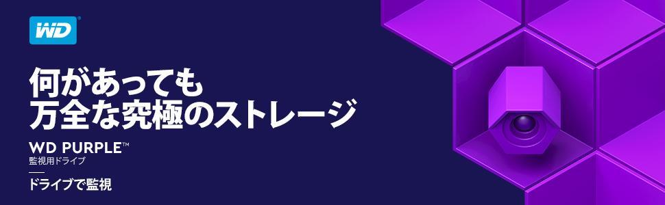 Western Digital HDD 3TB WD Purple 監視システム 3.5インチ 内蔵HDD WD30PURZ