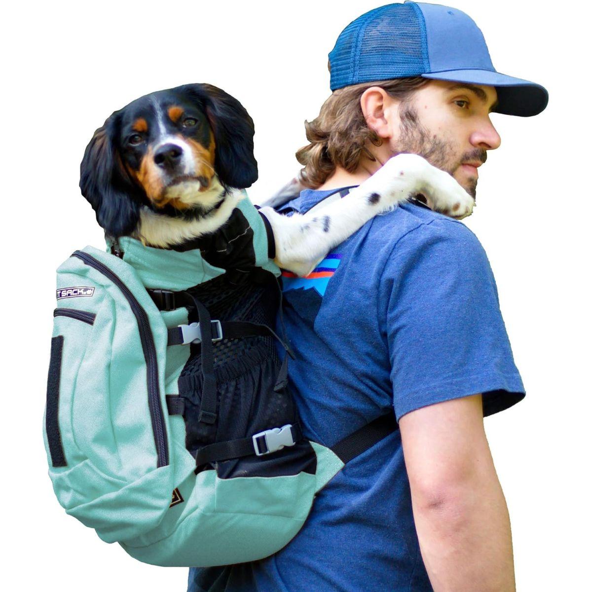 K9 Sport Sack (K9スポーツサック) | ペット 犬 小型・中型 キャリーバッグ バックパック | 収納バッグ付きの前向き 調節可能なバッグ | 通気性 獣医師の推奨(大、エアプラス - サマーミント)