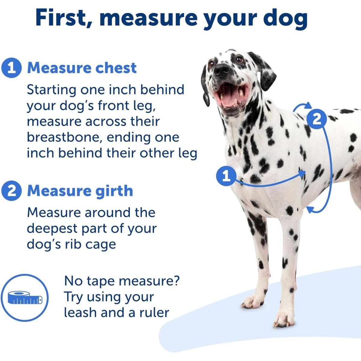 PetSafe イージーウォークハーネス (L, ラズベリー&グレー)