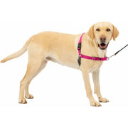 PetSafe イージーウォークハーネス (L, ラズベリー&グレー)