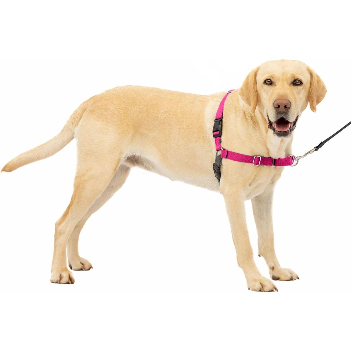 PetSafe イージーウォークハーネス (L, ラズベリー&グレー)