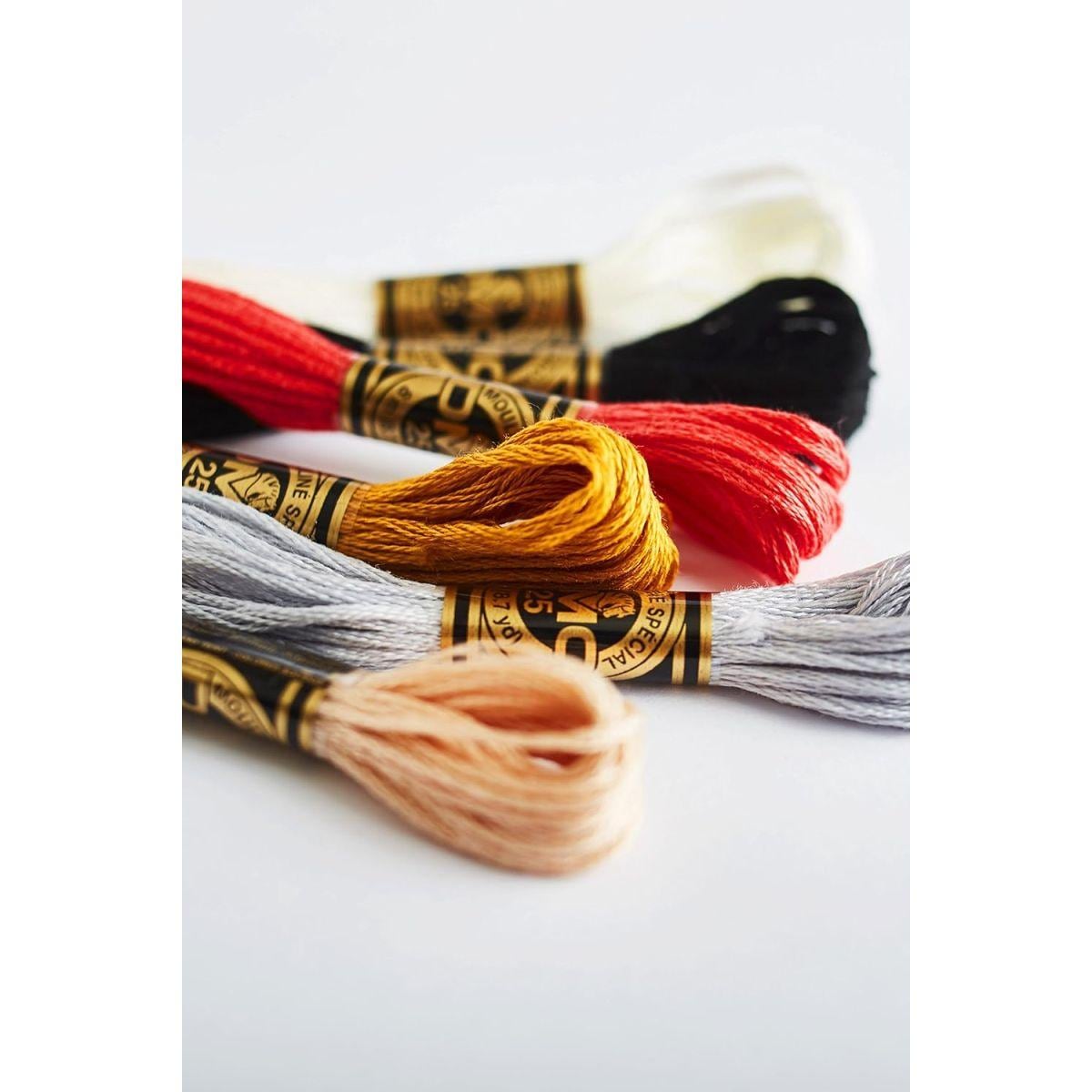 大容量DMC 6本撚り 刺繍糸 コットン 8.7ヤード 12-Pack 117-3024