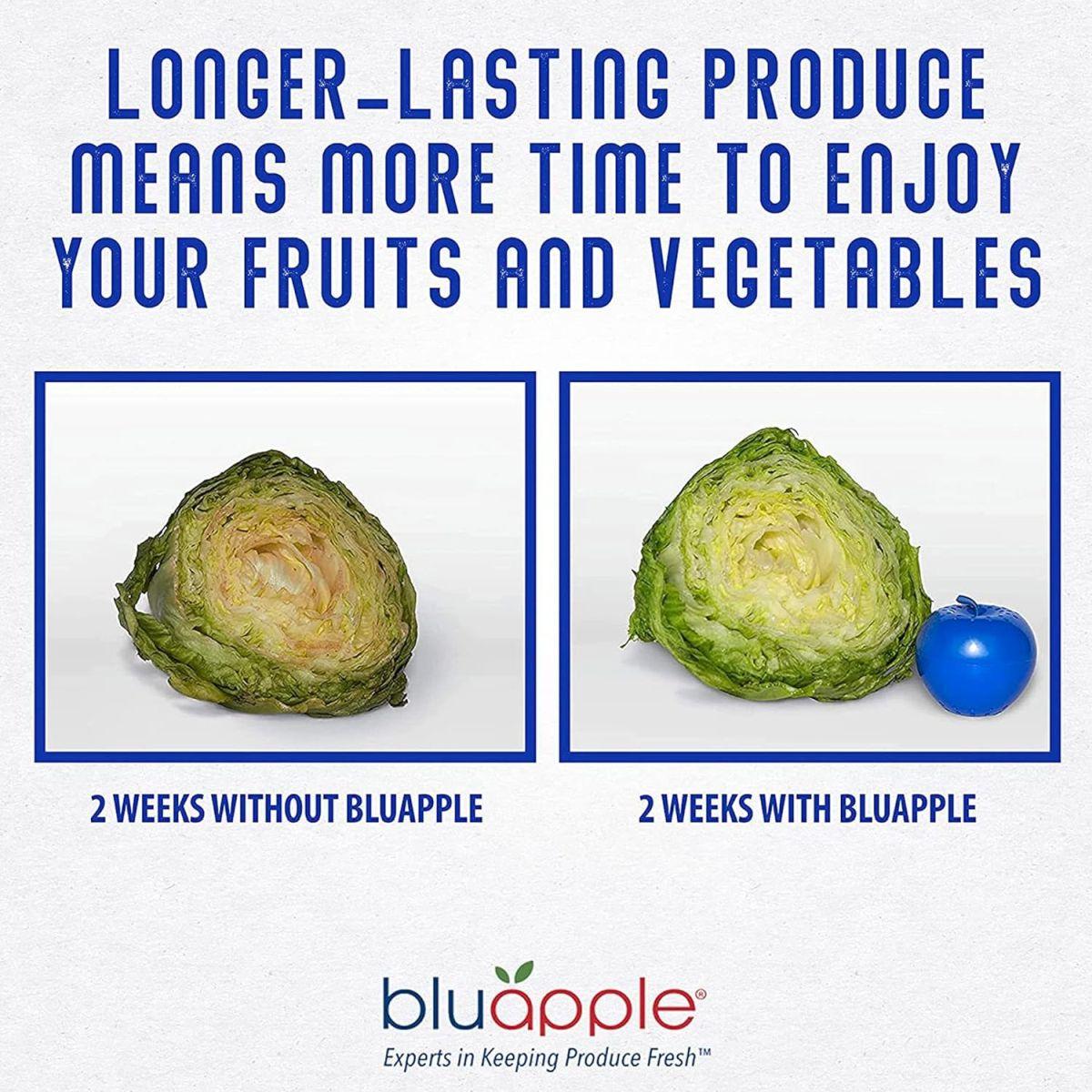 Bluapple ethlyleneガス吸収材Plus年の供給Refills???冷蔵庫Fruit & Vegetable救命胴衣???ブルーApple???Keep Produceフレッシュ 2 pack ブルー BA-PK [並行輸入品]