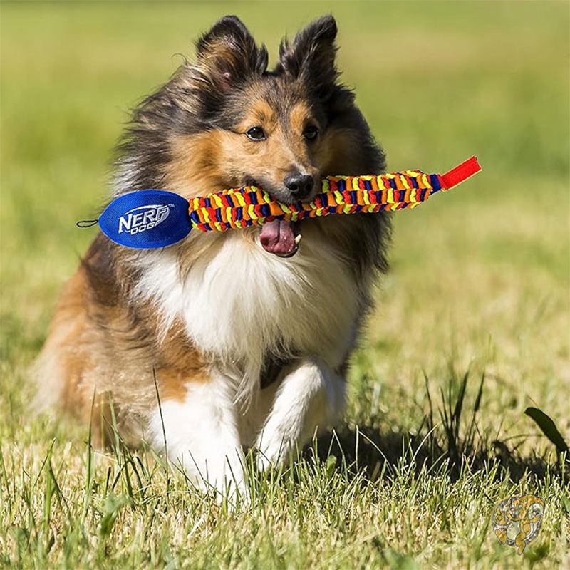 63.5cm レインボー ボルテックス チェーンタグ ロープ 犬用おもちゃ ペット用品 ナーフ Nerf Dog