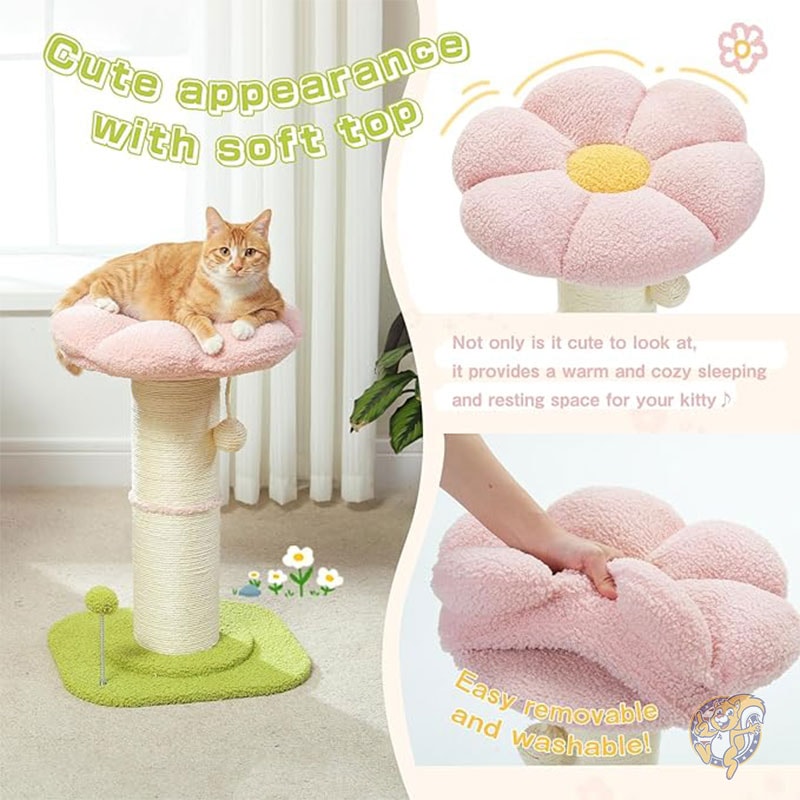 キャットスクラッチポスト フラワー 小型キャットツリー キャットタワー 爪研ぎ付き 屋内猫用 直径14cm フラワーキャットベッド PEQULTI