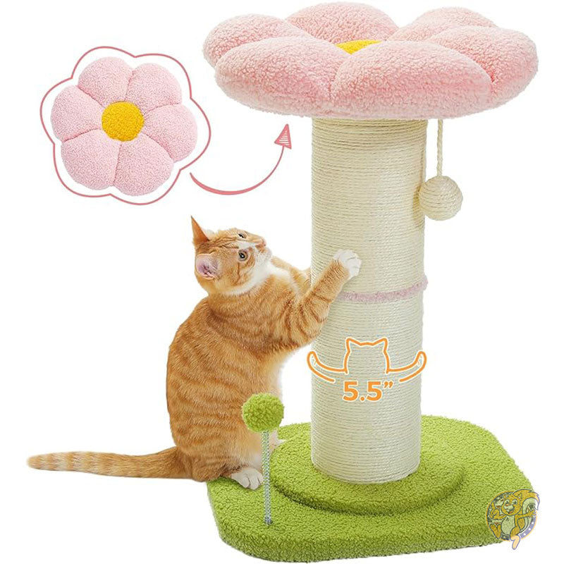 キャットスクラッチポスト フラワー 小型キャットツリー キャットタワー 爪研ぎ付き 屋内猫用 直径14cm フラワーキャットベッド PEQULTI
